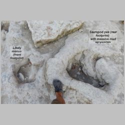 DSCN0555cr labeled.jpg